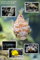 /album/galeria/parque-explora-jpg/